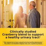 Nature Made Cranberry Supplement 500mg with Vitamin C for Immune & Antioxidant Support, Cranberry Blend for Urinary Tract Health, One Per Day, 60 Capsules - Image 3