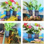 2 PCS Hanging Aquarium Planter Cups, Aquatic Plants Holder, Aquarium Planter Cup, Aquarium Decorations Plants Pot and Fish Tank Plants Pot for Live Aquarium Decor (Black-2 PCS) - Image 5