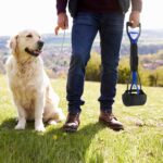 UPSKY Pooper Scooper for Large Small Dogs, Folding Dog Poop Scooper, Durable Spring and Premium Materials，Easy to Use for Grass, Dirt, Gravel Pick Up Shovel - Image 8