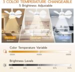 Ceiling Fans with Lights and Remote, Quiet Socket Fan Light with 5 Blades, 3 Color LED Dimmable, Low Profile Ceiling Fan with Light for Bedroom, Garage, Kitchen, Living Room, Patio - Image 4