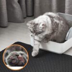 Cat Litter Mat 23"X17" Litter Box Mat, EVA Honeycomb Double Layer Design, Urine & Waterproof, Scatter Control Kitty Litter Mat, Less Waste, Easier To Clean,Washable, Black - Image 7