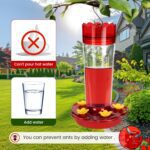 Glass Hummingbird Feeders for Outdoors Hanging Ant and Bee Proof, 2 Pack 15 Ounces Red Hummingbird Feeder with 5 Feeding Ports and Perches, Built-in Ant Moat, Outside Garden Décor (Glass, 2) - Image 6