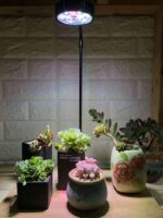 Full Spectrum LED Light with Bamboo Board, Fits Aquarium Nano Tank, Betta Fish Tank, Potted Plants, Succulents, Miniature Landscape – 5W - Image 5
