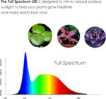 Full Spectrum LED Light with Bamboo Board, Fits Aquarium Nano Tank, Betta Fish Tank, Potted Plants, Succulents, Miniature Landscape – 5W - Image 6