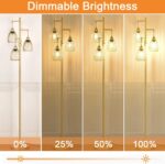 Dimmable Industrial Floor Lamps for Living Room, Gold Tree Standing Tall Lamps with 3 Elegant Teardrop Cage Head & 800 Lumens LED Bulbs for Bedroom Office - Image 4