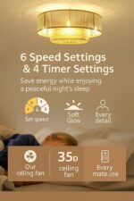 20'' Boho Flush Mount Ceiling Fans with Lights, Rattan bladeless Ceiling Fan with Light, Low Profile Small Caged fandeliers with Lights and Remote for Bedroom,Dining Room - Image 6