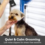 Pet Union Professional Dog Grooming Kit - Cordless Low Noise Dog Clippers for Grooming Thick Coats - All Pet Safe Cat Hair Trimmer - Pet Grooming Kit Includes Dog Hair Clippers, Nail Trimmer & Shears - Image 5