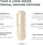 Primal Harvest Primal Immune Defense 10-in-1 Immune Defense Supplement: with 7 Billion CFU Probiotics, Zinc, Vitamins C, B6, D3, K2 - Immune Boosters for Adults 60 Capsules (1 Pack) - Image 5