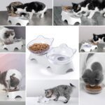MILIFUN Cat Bowls, Cat Food Bowls Elevated Tilted, Anti Vomiting Kitty Bowl for Puppy and Bunny, Orthopedic for Indoor Cats. - Image 4