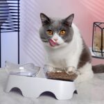 MILIFUN Cat Bowls, Cat Food Bowls Elevated Tilted, Anti Vomiting Kitty Bowl for Puppy and Bunny, Orthopedic for Indoor Cats. - Image 5