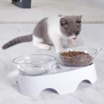 MILIFUN Cat Bowls, Cat Food Bowls Elevated Tilted, Anti Vomiting Kitty Bowl for Puppy and Bunny, Orthopedic for Indoor Cats. - Image 6