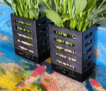 2 PCS Hanging Aquarium Planter Cups, Aquatic Plants Holder, Aquarium Planter Cup, Aquarium Decorations Plants Pot and Fish Tank Plants Pot for Live Aquarium Decor (Black-2 PCS) - Image 2