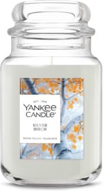 Yankee Candle Large Jar Scented Candle with up to 150 Hour Burn Time, Premium Plant Wax Blend for Consistent Burn, 22 oz Jar Candle with Room Filling Fragrance, Silver Birch - Image 2