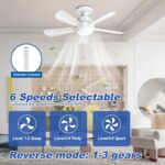 Socket Fan Light with APP & Remote, 22-in Screw-in Ceiling Fan for E26 Base, 3 Color Tones Adjustable, Reversible Motor for Home Bedroom Living Room Kitchen Garage - Image 5