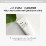 ROVECTIN Calming Lotus Water Cream - Lightweight Moisturizer Face Cream for Oily, Combination Skin | 75% Lotus Water Extract For Skin Purifying, Anti-Aging | Vegan Korean Skincare (2.1 fl.oz, 60ml) - Image 7