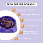 2PCS Slow Feeder Dog Bowls, Pet Supplies That Slow Down Eating, Pet Food Bowls, Maze Dog Puzzle Feeder for Medium Breed - Image 3