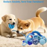 Beiker 20 Pack Puppy Chew Toys - Blue Dog Teething Toys for Puppies, Puppy Teething Rings and Durable Ropes, Blue Rubber Toy Bundle for Small Dogs, Cute Interactive Dog Balls for Small Breed - Image 5