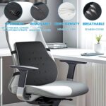 Lumbar Support Pillow for Office Chair,Office Home, College Dorm Room Essentials,Back Support Pillow for Car, Chair Cushions,Back Pain Relief Improve Posture,Mesh Cover Double Adjustable Straps - Image 10