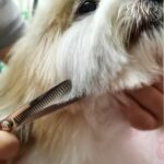 Dog Grooming Kit with Safety Round Tips Stainless Steel Professional Dog Shears Set - Thinning, Curved Scissors and Comb for Cat Pet - Image 9