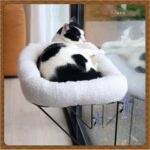 Cat Window Perch - 100% Metal Supported from Below - Comes with Warm Spacious Pet Bed - Cat Window Hammock for Large Cats & Kittens - for Sunbathing, Napping & Overlooking (White) - Image 3