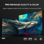 Aurzen EAZZE D1 Pro Smart Projector with WiFi and Bluetooth, NetfIix Official, 20W Speakers, DoIby Audio & dbx-tv Total Sonics, Auto Focus & Keystone, Native 1080P Portable Outdoor Movie Projector - Image 6