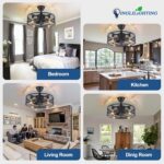 DLLT Caged Ceiling Fan with Light: 20" Farmhouse Fandelier with Light and Remote - Black Rustic Chandelier with Fan for Bedroon Kitchen Living Dining Room - Image 3