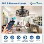 DLLT Caged Ceiling Fan with Light: 20" Farmhouse Fandelier with Light and Remote - Black Rustic Chandelier with Fan for Bedroon Kitchen Living Dining Room - Image 5