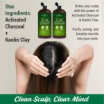 Tea Tree & Eucalyptus Shampoo and Conditioner Set – Clarifying & Scalp Care Formula with Activated Charcoal, Biotin & Keratin – Sulfate-Free, Made in USA - 16 fl oz x 2 - Image 5