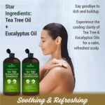 Tea Tree & Eucalyptus Shampoo and Conditioner Set – Clarifying & Scalp Care Formula with Activated Charcoal, Biotin & Keratin – Sulfate-Free, Made in USA - 16 fl oz x 2 - Image 6