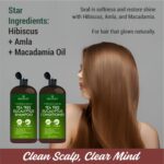 Tea Tree & Eucalyptus Shampoo and Conditioner Set – Clarifying & Scalp Care Formula with Activated Charcoal, Biotin & Keratin – Sulfate-Free, Made in USA - 16 fl oz x 2 - Image 8
