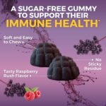 Viva Naturals 8in1 Elderberry Gummies for Kids with Vitamin C, D and Zinc - 60 Sugar Free Kids Immune Support Black Elderberry Gummies - Elderberry Vitamin C and Zinc Immune Support Supplement - Image 4
