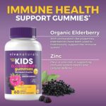 Viva Naturals 8in1 Elderberry Gummies for Kids with Vitamin C, D and Zinc - 60 Sugar Free Kids Immune Support Black Elderberry Gummies - Elderberry Vitamin C and Zinc Immune Support Supplement - Image 5