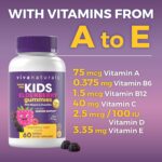 Viva Naturals 8in1 Elderberry Gummies for Kids with Vitamin C, D and Zinc - 60 Sugar Free Kids Immune Support Black Elderberry Gummies - Elderberry Vitamin C and Zinc Immune Support Supplement - Image 6
