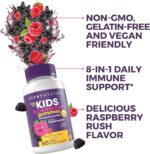 Viva Naturals 8in1 Elderberry Gummies for Kids with Vitamin C, D and Zinc - 60 Sugar Free Kids Immune Support Black Elderberry Gummies - Elderberry Vitamin C and Zinc Immune Support Supplement - Image 7