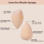 Real Perfection Makeup Sponge Set Blender Sponges, Latex-Free Beauty Makeup Sponges 7 pcs with 1 Travel Container Case for Blending Foundation Liquid Cream and Powder (Beige) - Image 4