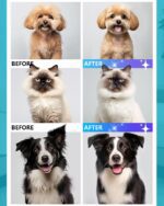 Dog Grooming Vacuum, Bawetech B2 5-in-1 Pet Grooming Kit with Dog Clipper, 11000Pa Suction | 2L Capacity | 113℉ Dryer | Low Noise Pet Hair Removal Tool Pet Supplies, 2025 Upgraded - Image 9