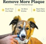 Jasper Dog Toothbrush, 360 Dog Tooth Brushing Kit, Finger Toothbrush, Cat Tooth Brush, Teeth Cleaning, Pet Tooth Brush for Small & Large Pets, Pet Toothpaste Not Included, 2-Pack Blue - Image 3