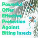 Natural Mosquito Repellent Wipes, DEET Free Insect & Bug Repellent Wipes, Easy to Use, Long Lasting, Travel Sized - Image 5