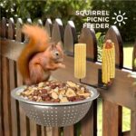 2 Pack 8.5" Squirrel and Bird Feeder for Outside Tree/Fence, Removable Metal Bowl Feeder with Drainage Holes, Adding 1 for Squirrel Watering or Bird Bath/Swim, Sturdy Easy Clean Feeders for Outdoor - Image 4