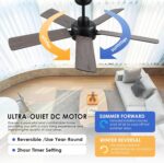 Ceiling Fans with Lights - 52 Inch Black Low Profile Ceiling Fan with Remote Control, 3CCT Dimmable Lighting, 6 Speeds Reversible, Modern Ceiling Fan Light for Indoor/Outdoor Use - Image 4