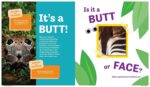 Butt or Face?: A Hilarious Animal Guessing Game Book for Kids - Image 4