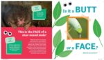 Butt or Face?: A Hilarious Animal Guessing Game Book for Kids - Image 6