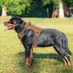 Heavy Duty Tactical Dog Harness for Large Dogs, No Pull Adjustable Pet Harness Reflective Service Training Easy Control Pet Vest Military K9 Working Dog Harnesses- Large, Brown - Image 3