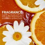 Wella Professionals ULTIMATE SMOOTH Conditioner | Treatment for Dry, Frizzy Hair | Nourishes, Smooths & Adds a Silky Shine | With Squalane & Omega 9 | Color Safe - Image 11