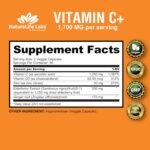NaturaLife Labs A Higher Standard Vitamin C 1,700 MG with Vitamin D3, Zinc, Elderberry, Ginger Root - Maximum Strength Multi System Immune Support- 100 Veggie Capsules - Image 3