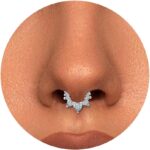 Btysun Nose Rings for Women, Septum Hinged Hoop 16G Nostril Helix Cartilage Earrings, Tragus Rock Conch Lip Daith Piercing Jewelry 8MM 10MM - Image 2