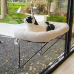 Cat Window Perch - 100% Metal Supported from Below - Comes with Warm Spacious Pet Bed - Cat Window Hammock for Large Cats & Kittens - for Sunbathing, Napping & Overlooking (White) - Image 2