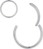 ORANGELOVE Hypoallergenic Nose Rings 20G 18G 16G 14G 12G 10G 8G 316l Surgical Steel Septum Jewelry Hinged Segment Ring Body Piercing Nose Hoop Lip Rings Nose Helix Cartilage Rook Earrings - Image 2