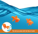 Sumind 30 Pieces Fake Goldfish Plastic Floating Artificial Aquarium Fish Realistic Moving Orange Goldfish Ornament Decorations for Aquarium Tank - Image 4