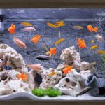 Sumind 30 Pieces Fake Goldfish Plastic Floating Artificial Aquarium Fish Realistic Moving Orange Goldfish Ornament Decorations for Aquarium Tank - Image 5
